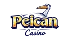 Logo pelican-portal.photographerswithdisabilities.org